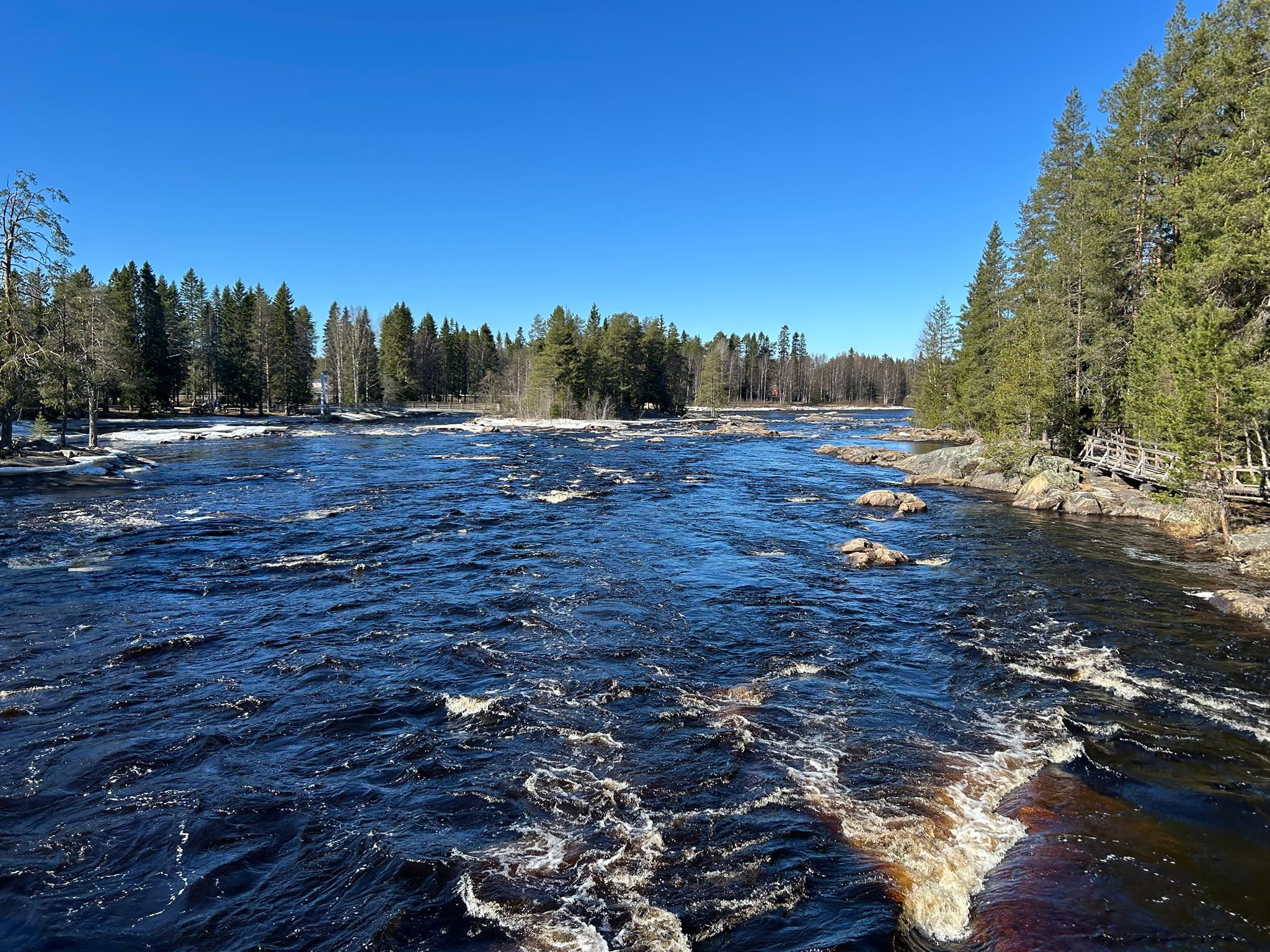 Kesäinen koskimaisema Lapissa