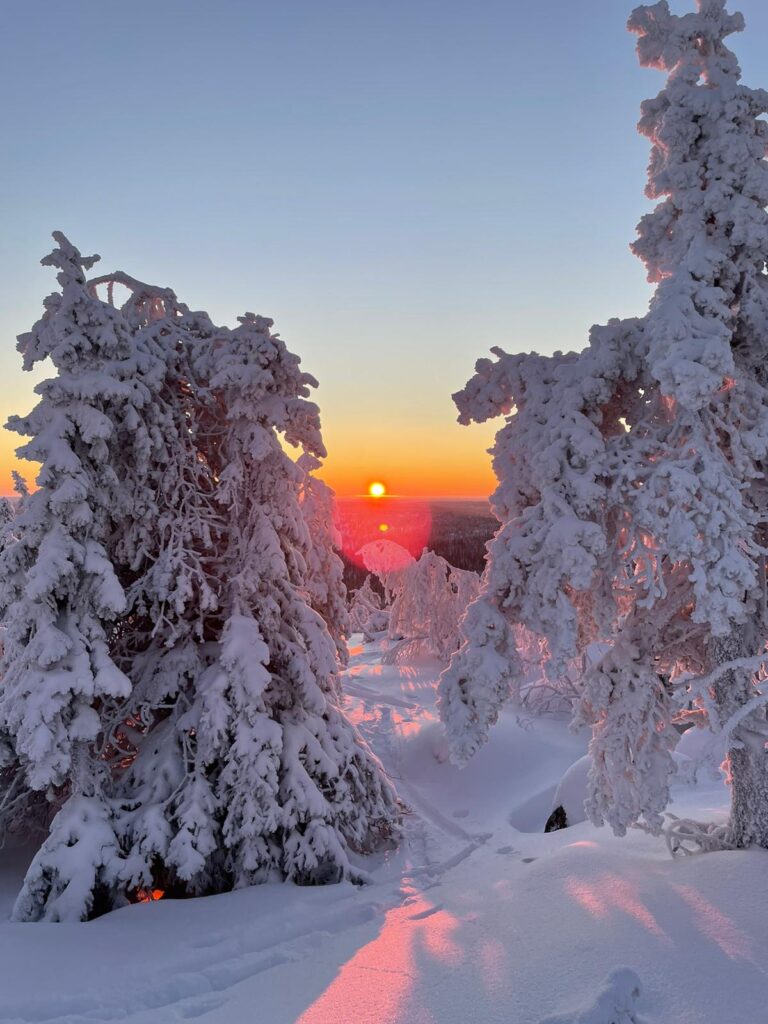 Epe’s Lapland Adventures - retkitunnelma Lapin luonnossa