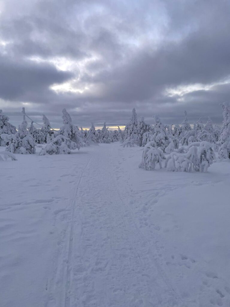 Epe’s Lapland Adventures - retkitunnelma Lapin luonnossa