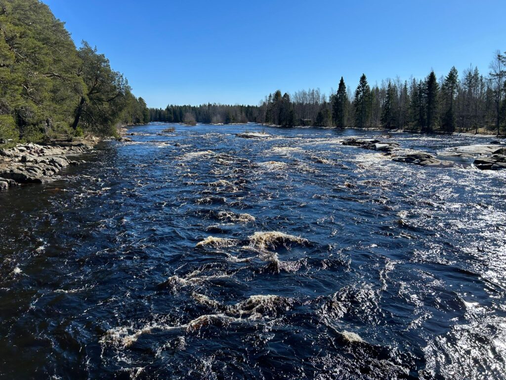 Epe’s Lapland Adventures - retkitunnelma Lapin luonnossa