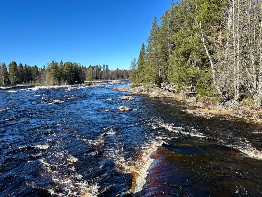 Epe’s Lapland Adventures - retkitunnelma Lapin luonnossa