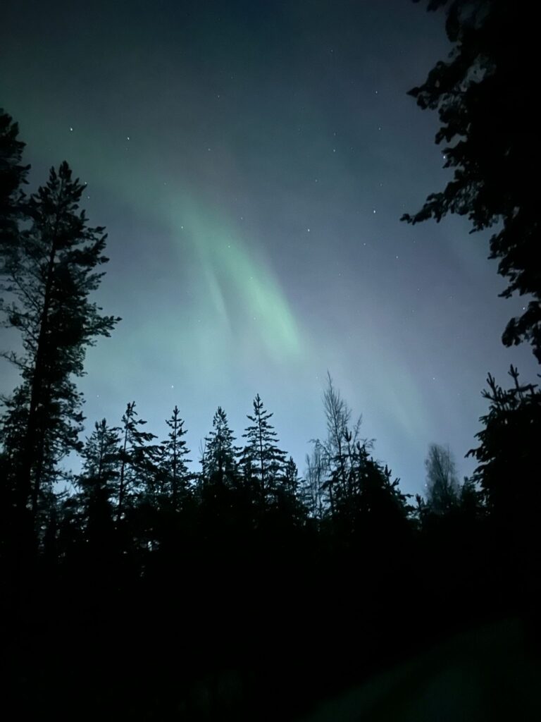 Epe’s Lapland Adventures - retkitunnelma Lapin luonnossa