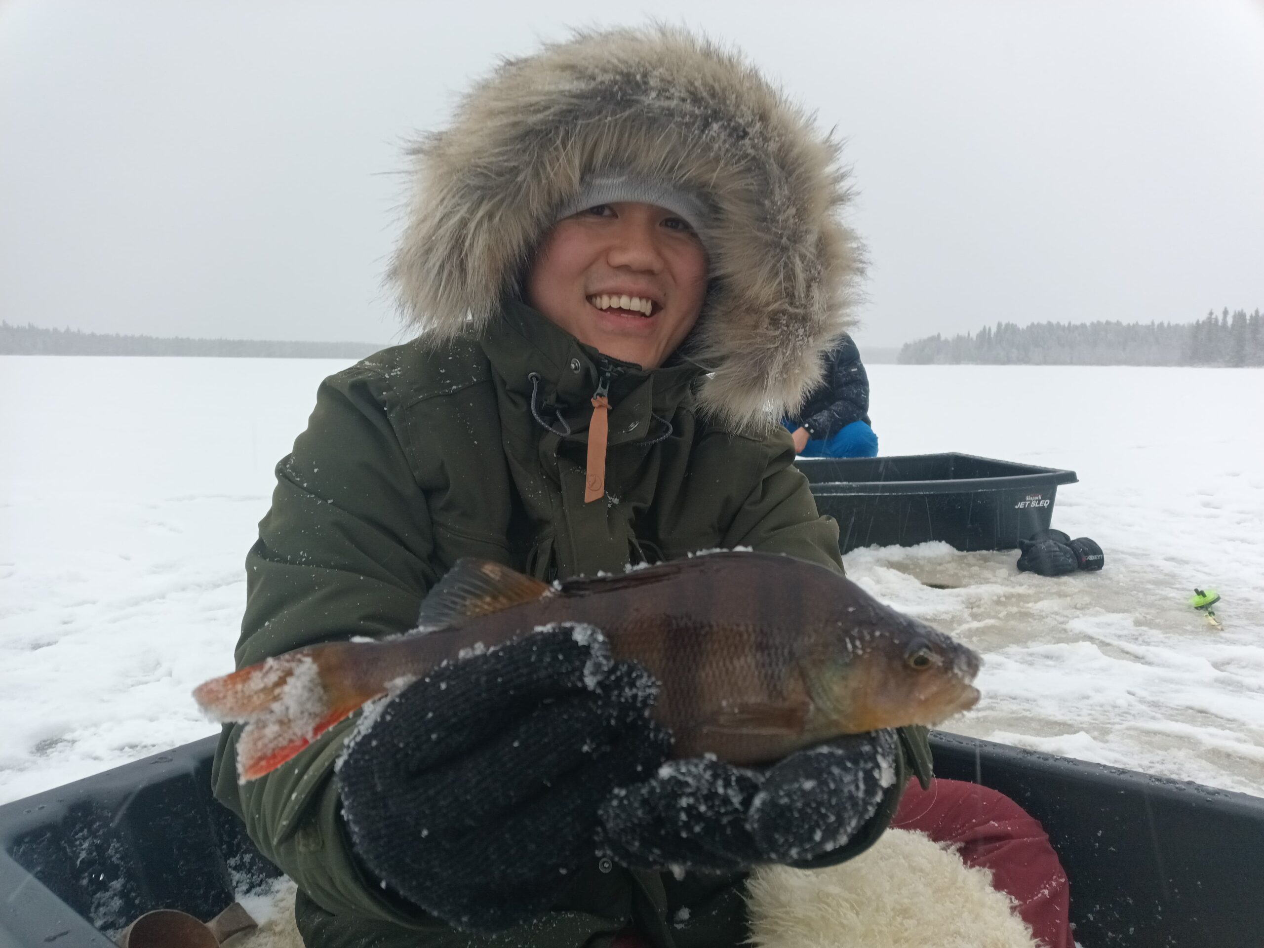 Epe’s Lapland Adventures - retkitunnelma Lapin luonnossa