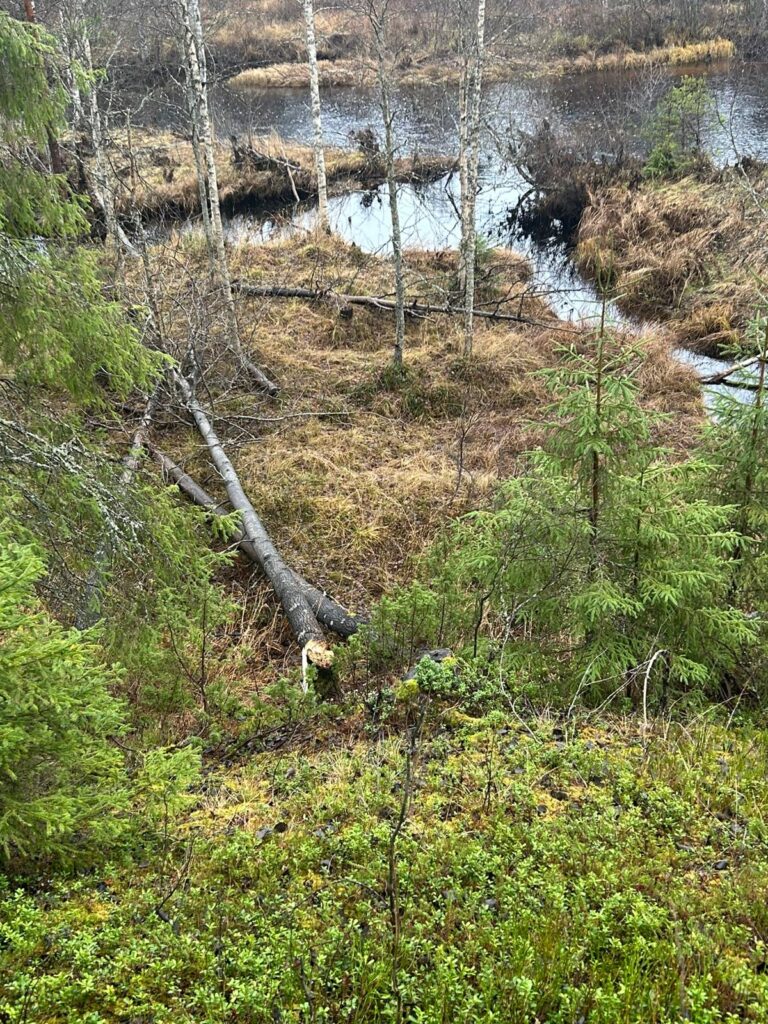 Epe’s Lapland Adventures - retkitunnelma Lapin luonnossa