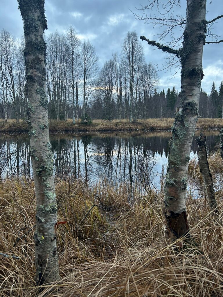 Epe’s Lapland Adventures - retkitunnelma Lapin luonnossa