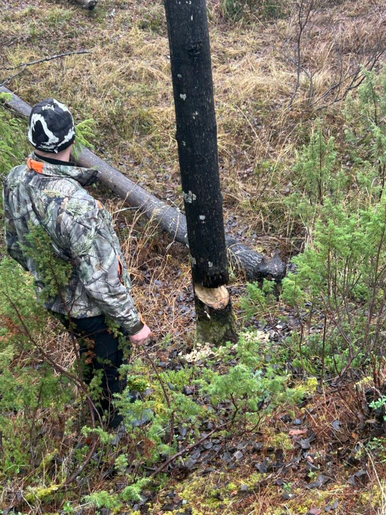 Epe’s Lapland Adventures - retkitunnelma Lapin luonnossa