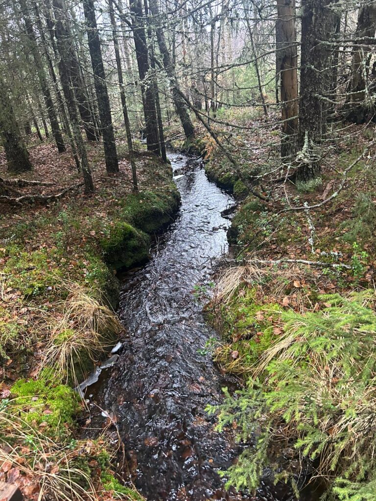Epe’s Lapland Adventures - retkitunnelma Lapin luonnossa